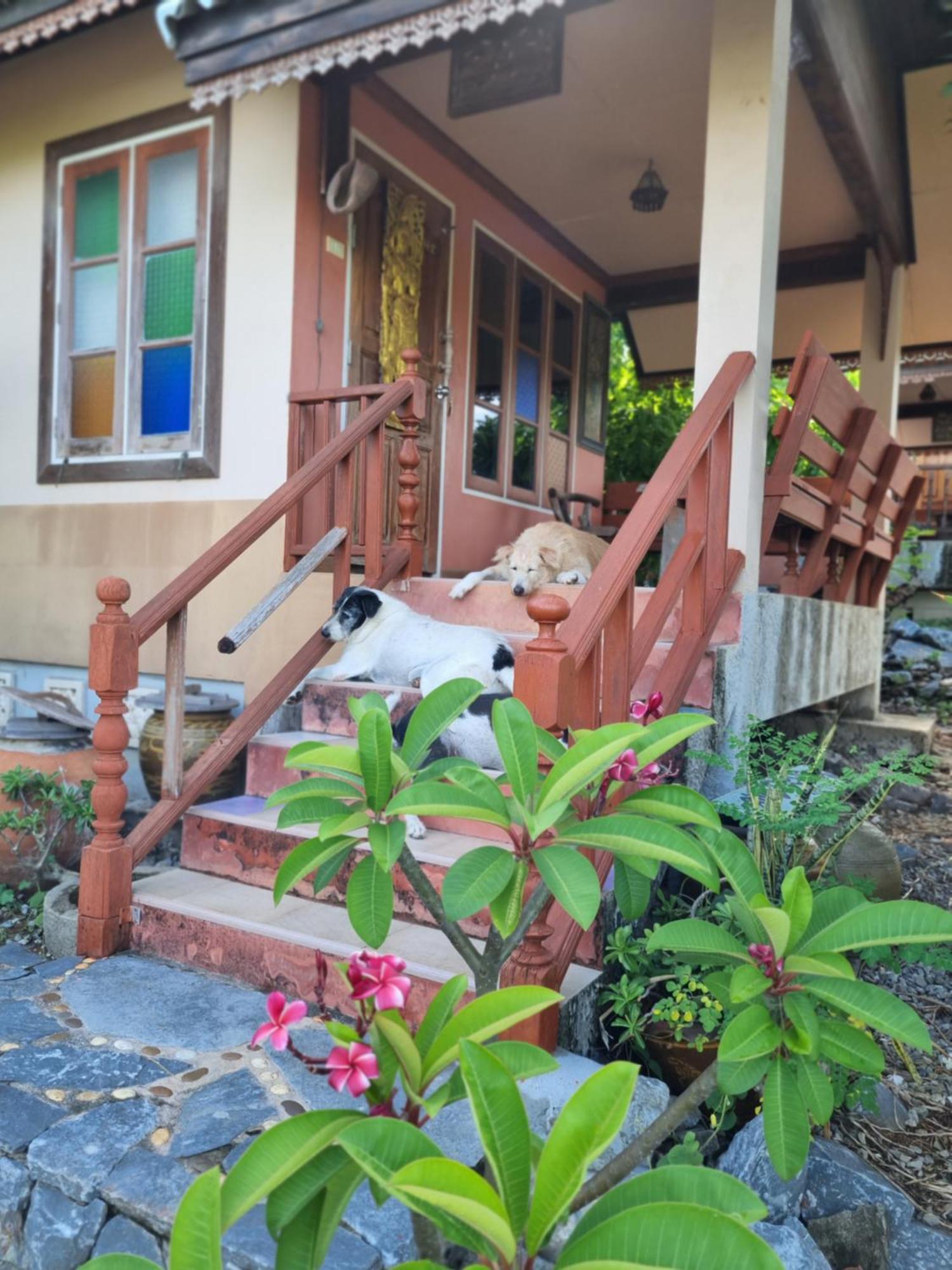 Hello Sichang Bungalow Ко Си Чанг Стая снимка